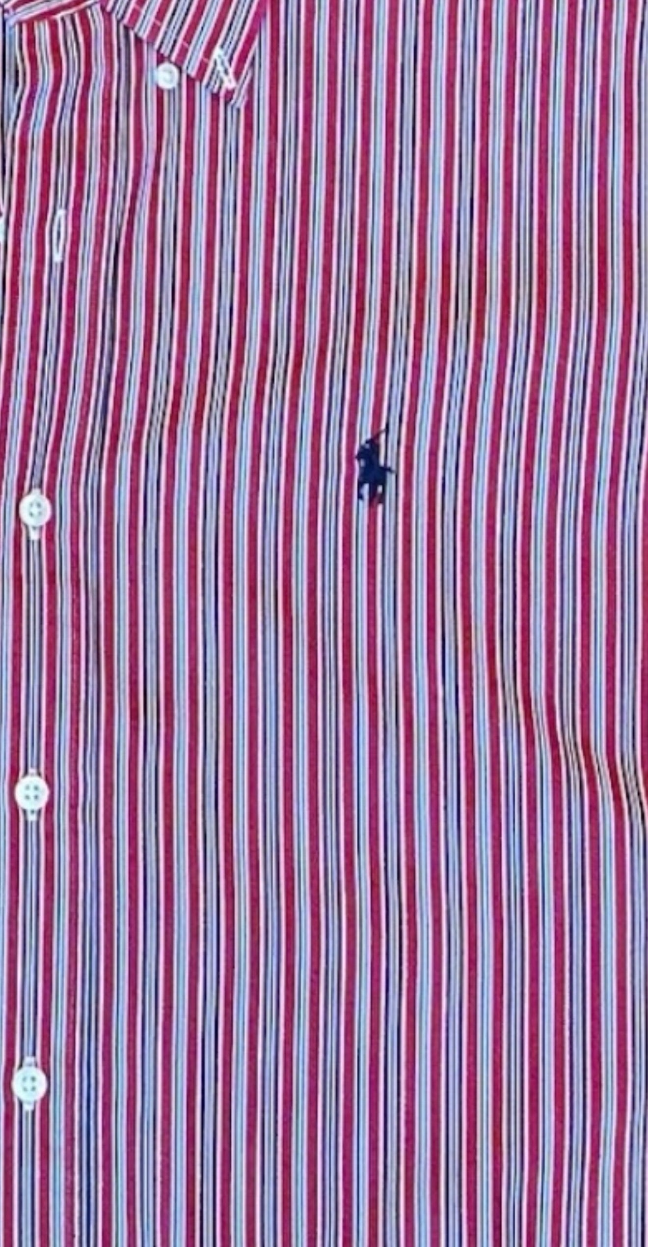 Upcycled Cropped Ralph Lauren Button Down