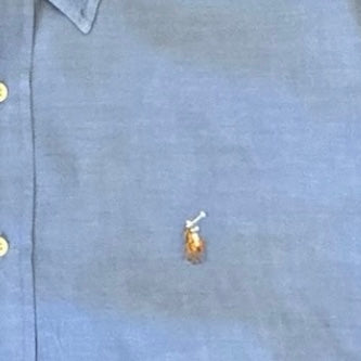 Upcycled Cropped Ralph Lauren Button Down