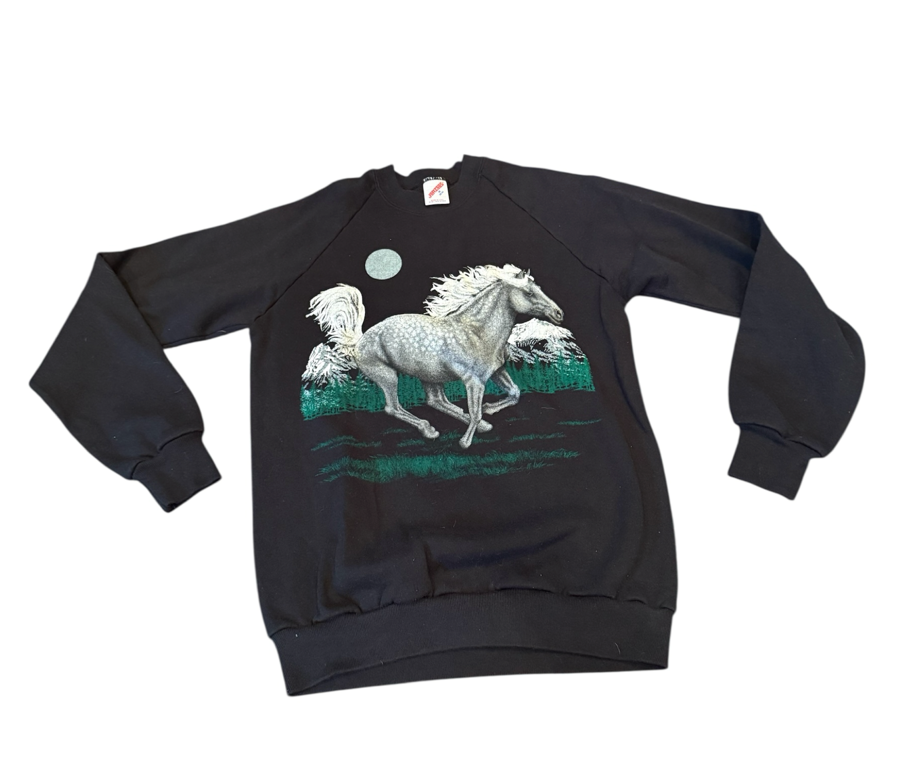Horse Dreams Sweatshirt