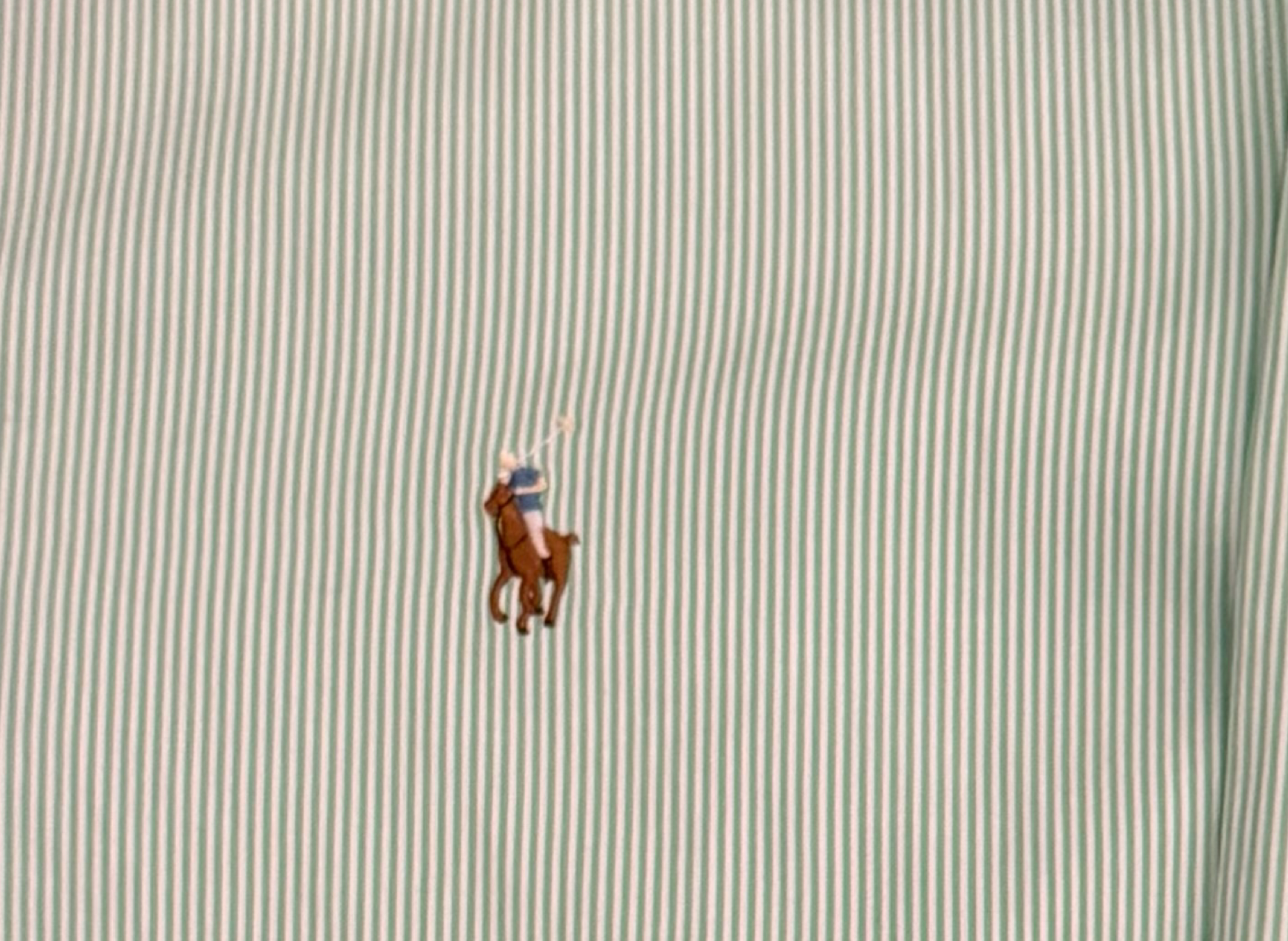 Upcycled Cropped Ralph Lauren Button Down